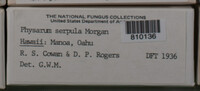 Image Associated With the Occurence